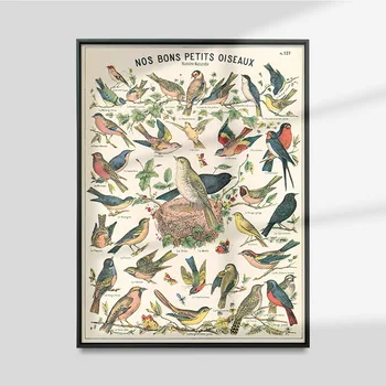 Vintage Cavallini Kuş Dünya Posteri Doğal Tarih Baskı sanat tuval Boyama Oturma Odası Duvar Resmi Dekor