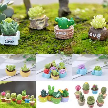 1/5 Adet Minyatür Bitkiler Kaktüs Bonsai Dollhouse Dekor Mini Oyna Pretend Miniaturas Bebek Aksesuarları Oyuncak rastgele Ev dekor