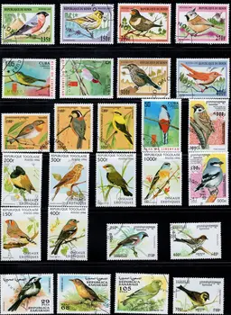 100 ADET Farklı Kuş Pullar Kelime, Tekrar Yok, Hayvan Pullar, İyi Durumda Koleksiyonu, Kullanılan Posta İşareti